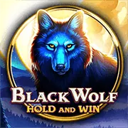 Sòng bạc bwin với các trò chơi phổ biến và ưu đãi hấp dẫn