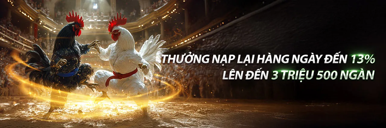 Đá gà trực tuyến kịch tính tại Bwin
