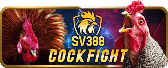 Chính sách chơi có trách nhiệm của bwin